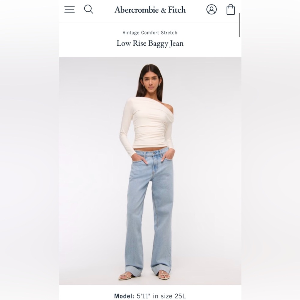 Abercrombie & Fitch Low Rise Baggy Jean